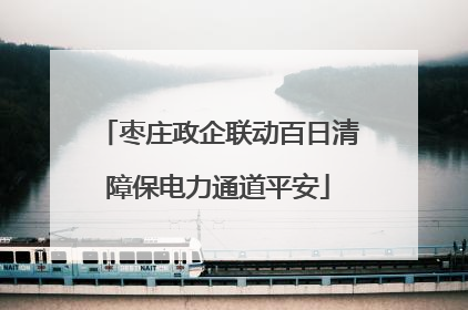 枣庄政企联动百日清障保电力通道平安