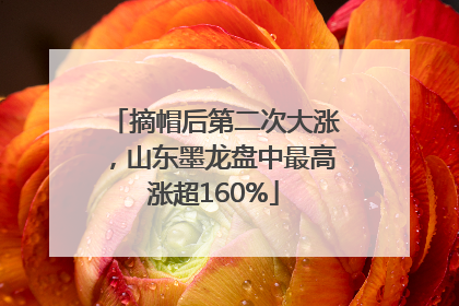 摘帽后第二次大涨，山东墨龙盘中最高涨超160%