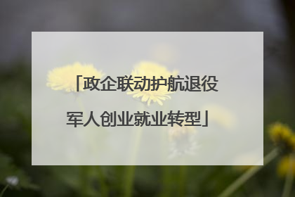 政企联动护航退役军人创业就业转型