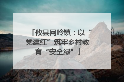 攸县网岭镇：以“党建红”筑牢乡村教育“安全绿”