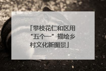 攀枝花仁和区用“五个一”描绘乡村文化新图景