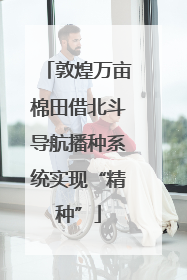 敦煌万亩棉田借北斗导航播种系统实现“精种”