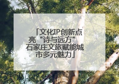 文化IP创新点亮“诗与远方” 石家庄文旅赋能城市多元魅力
