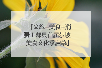 文旅+美食+消费！郏县首届东坡美食文化季启幕