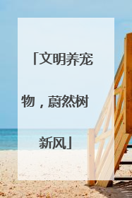 文明养宠物，蔚然树新风