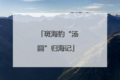 斑海豹“汤圆”归海记
