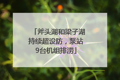 斧头湖和梁子湖持续超设防，泵站9台机组排涝