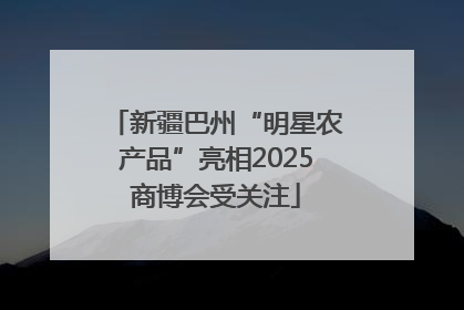 新疆巴州“明星农产品”亮相2025商博会受关注