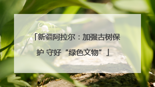 新疆阿拉尔：加强古树保护 守好“绿色文物”