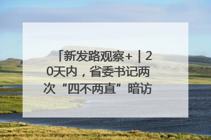 新发路观察+｜20天内，省委书记两次“四不两直”暗访，有何深意？