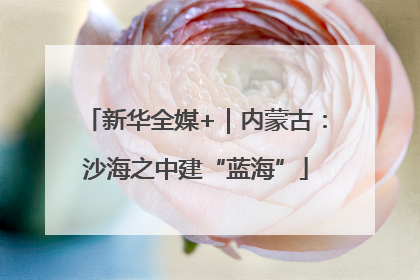 新华全媒+｜内蒙古：沙海之中建“蓝海”