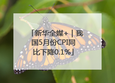新华全媒+｜我国5月份CPI同比下降0.1%