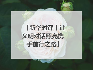 新华时评丨让文明对话照亮携手前行之路