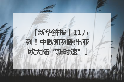 新华鲜报丨11万列！中欧班列跑出亚欧大陆“新时速”
