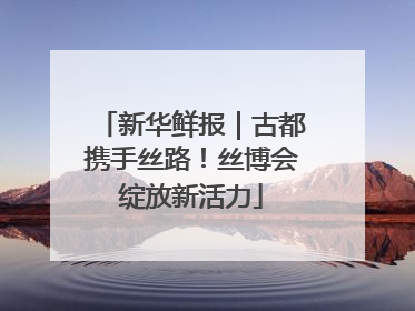 新华鲜报｜古都携手丝路！丝博会绽放新活力