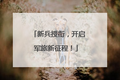 新兵授衔，开启军旅新征程！