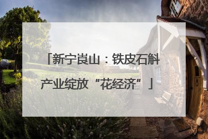 新宁崀山：铁皮石斛产业绽放“花经济”