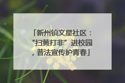 新州镇文星社区：“扫黄打非”进校园，普法宣传护青春