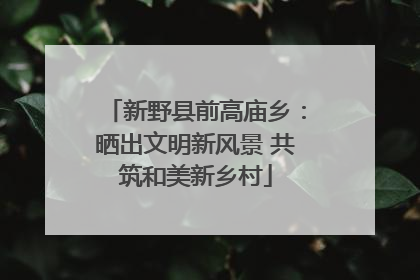新野县前高庙乡：晒出文明新风景 共筑和美新乡村