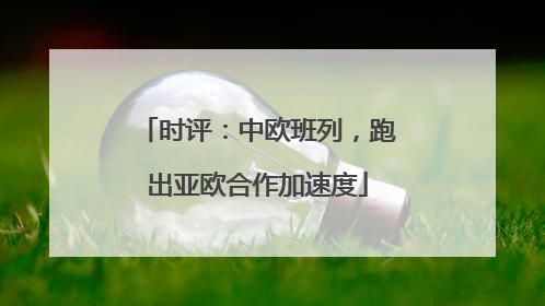 时评：中欧班列，跑出亚欧合作加速度