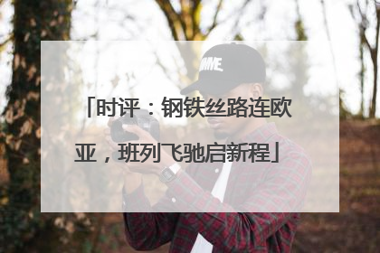 时评：钢铁丝路连欧亚，班列飞驰启新程