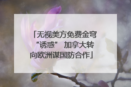 无视美方免费金穹“诱惑” 加拿大转向欧洲谋国防合作