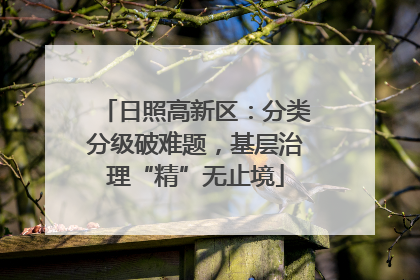 日照高新区：分类分级破难题，基层治理“精”无止境