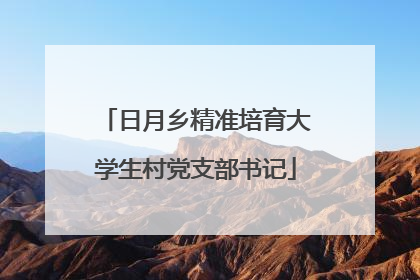 日月乡精准培育大学生村党支部书记