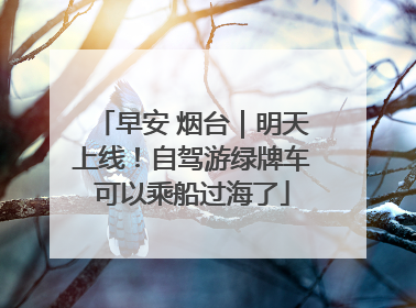 早安 烟台｜明天上线！自驾游绿牌车可以乘船过海了