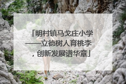 明村镇马戈庄小学——立德树人育桃李，创新发展谱华章
