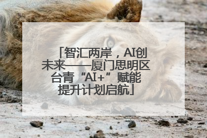 智汇两岸，AI创未来——厦门思明区台青“AI+”赋能提升计划启航