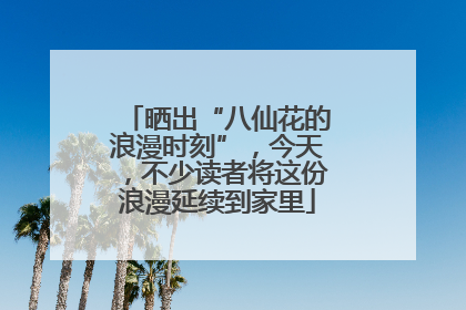晒出“八仙花的浪漫时刻”，今天，不少读者将这份浪漫延续到家里