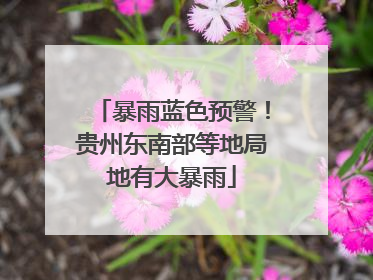 暴雨蓝色预警！贵州东南部等地局地有大暴雨