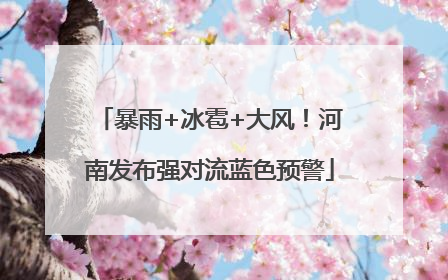 暴雨+冰雹+大风！河南发布强对流蓝色预警