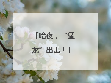 暗夜，“猛龙”出击！