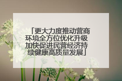 更大力度推动营商环境全方位优化升级加快促进民营经济持续健康高质量发展