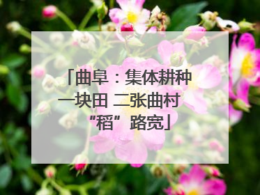 曲阜：集体耕种一块田 二张曲村“稻”路宽