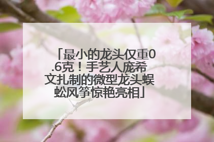 最小的龙头仅重0.6克！手艺人庞希文扎制的微型龙头蜈蚣风筝惊艳亮相