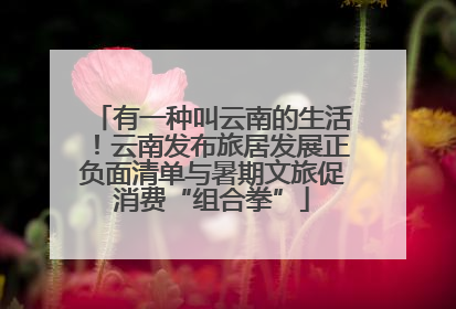 有一种叫云南的生活！云南发布旅居发展正负面清单与暑期文旅促消费“组合拳”