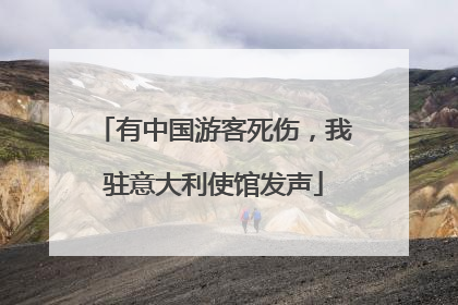 有中国游客死伤，我驻意大利使馆发声