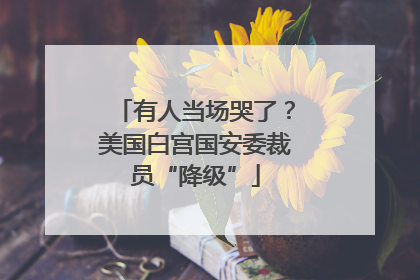 有人当场哭了？美国白宫国安委裁员“降级”