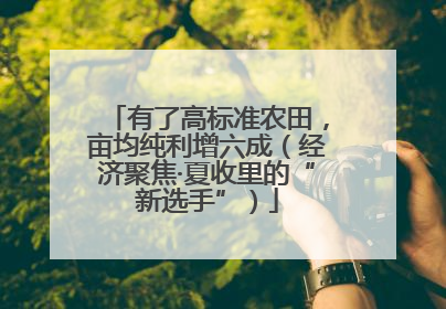 有了高标准农田，亩均纯利增六成（经济聚焦·夏收里的“新选手”）