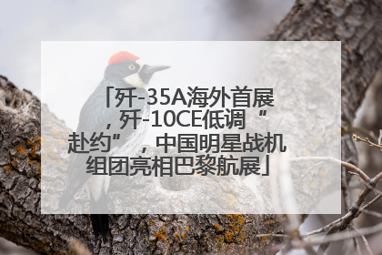 歼-35A海外首展，歼-10CE低调“赴约”，中国明星战机组团亮相巴黎航展