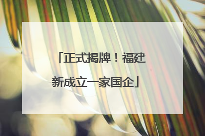 正式揭牌！福建新成立一家国企