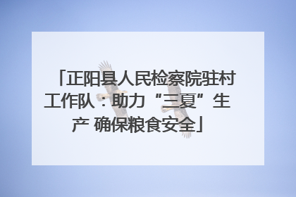 正阳县人民检察院驻村工作队：助力“三夏”生产 确保粮食安全