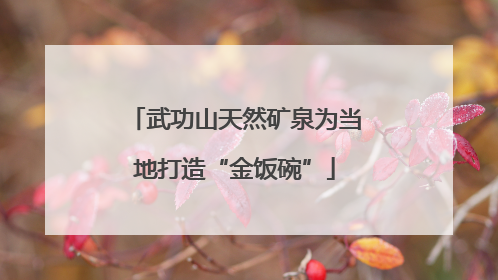 武功山天然矿泉为当地打造“金饭碗”