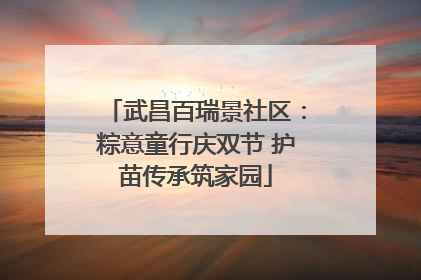 武昌百瑞景社区：粽意童行庆双节 护苗传承筑家园