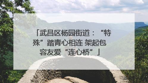 武昌区杨园街道：“特殊”踏青心相连 架起包容友爱“连心桥”