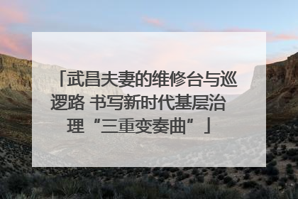 武昌夫妻的维修台与巡逻路 书写新时代基层治理“三重变奏曲”