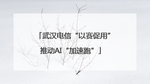 武汉电信“以赛促用”推动AI“加速跑”